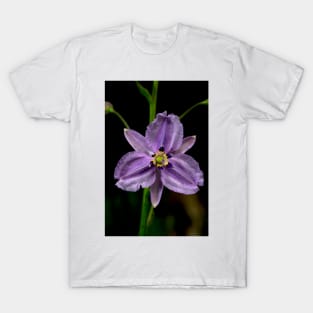 Chocolate Lily T-Shirt